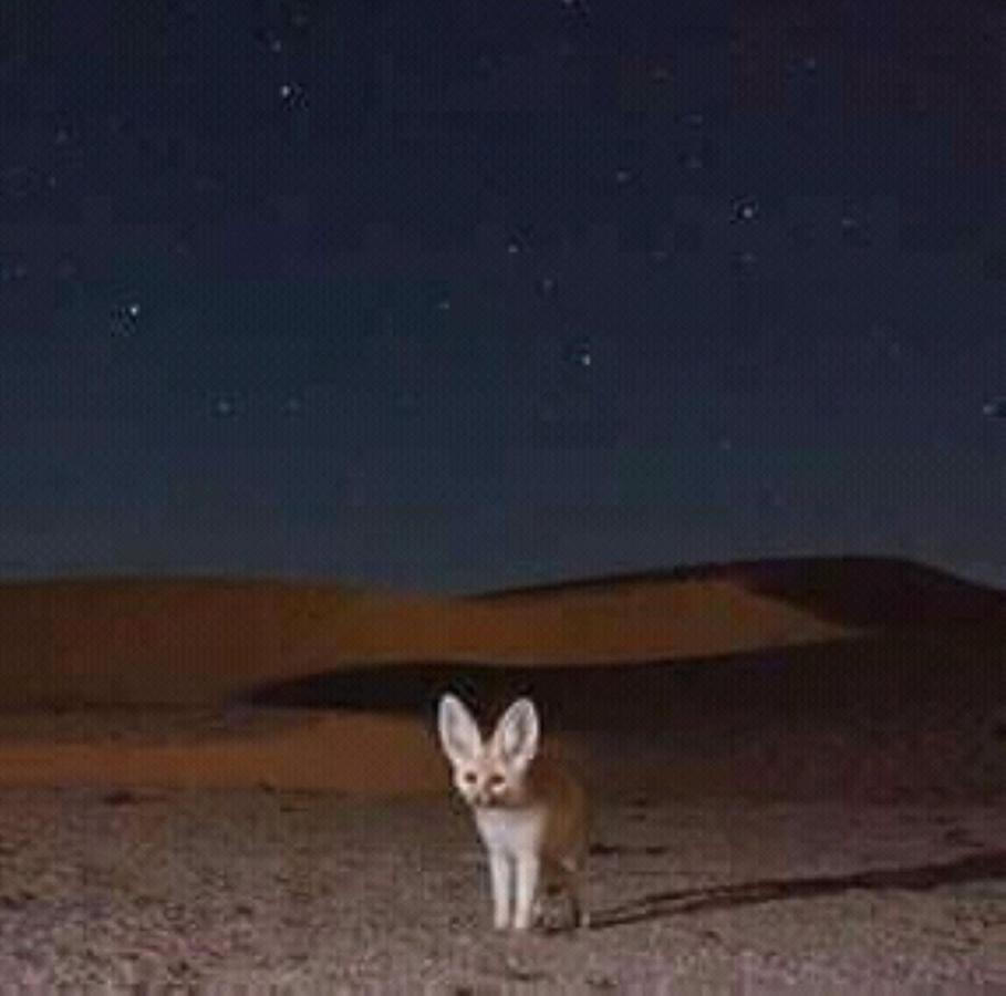 ホテル Restcamp Ergchebbi メルズーガ エクステリア 写真